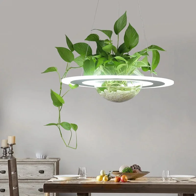 Ring Plant Pendant Lustre Planet Light