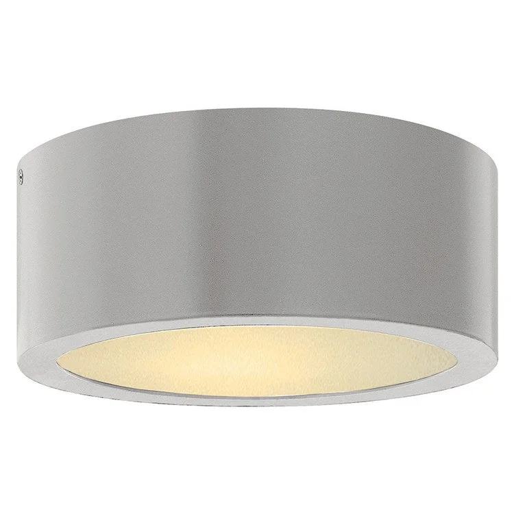 Luna Single-Light LED Flush Mount Ceiling Light