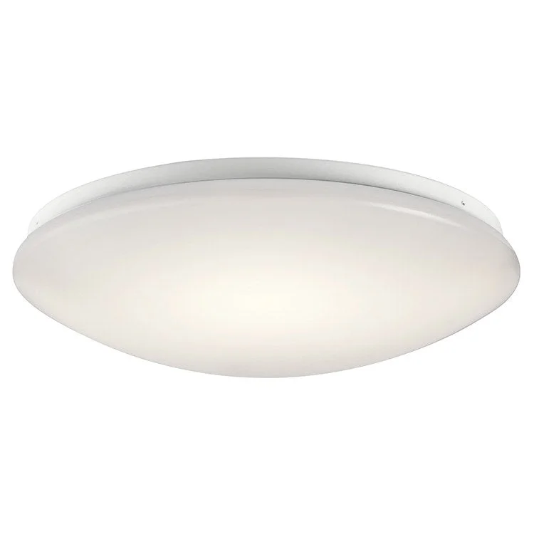 Ceiling Space Single-Light LED Flush Mount Ceiling Fixture