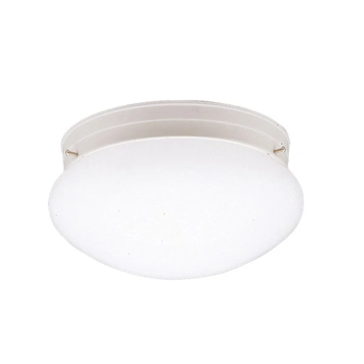 Ceiling Space Single-Light Flush Mount Ceiling Fixture