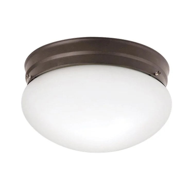 Ceiling Space Two-Light Flush Mount Ceiling Fixture