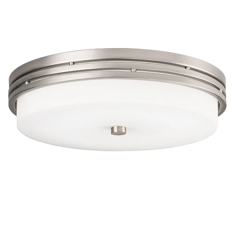 Ceiling Space Single-Light LED Flush Mount Ceiling Fixture