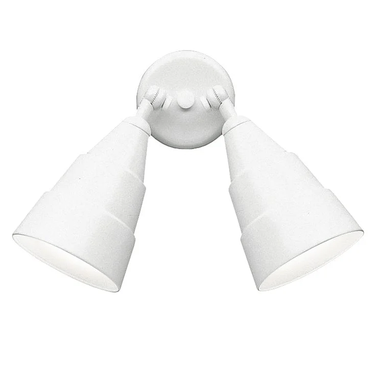 Two-Light Outdoor Wall Sconce