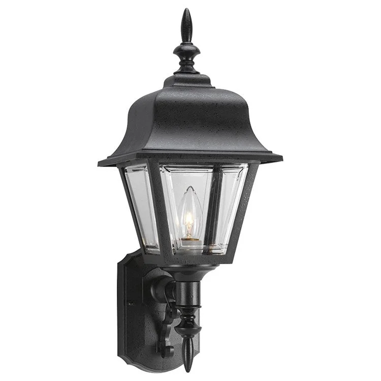 Mansard Roof Weather-Resistant Single-Light Wall Lantern