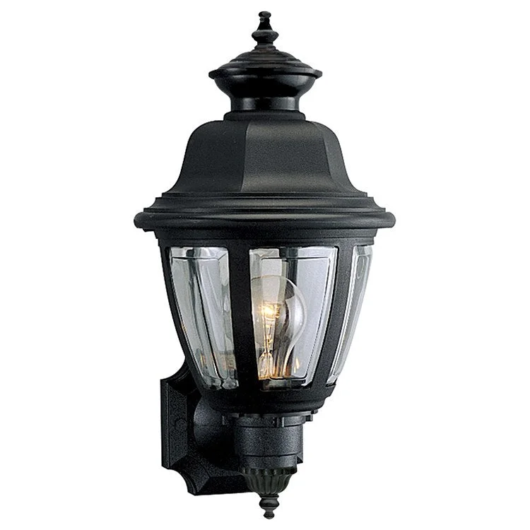 Non-Metallic Single-Light Wall Lantern